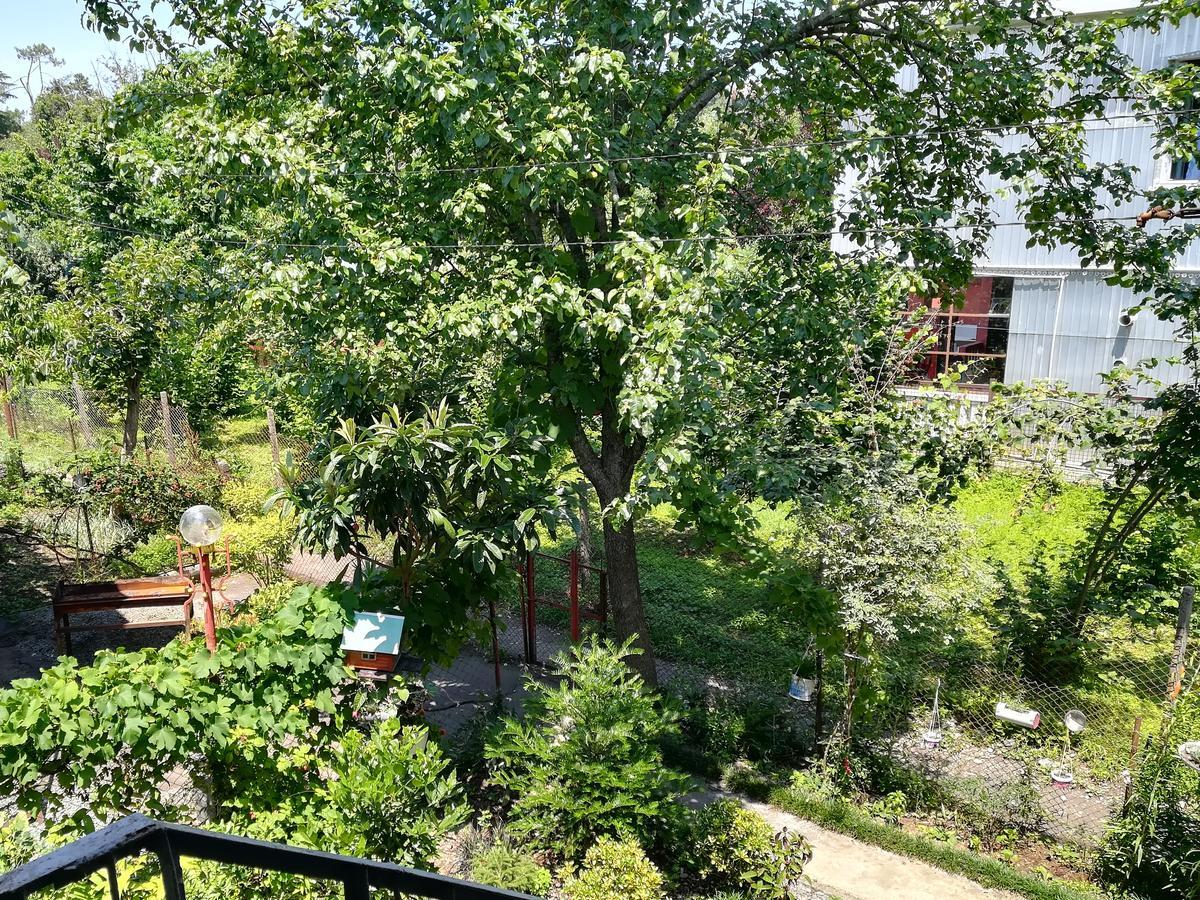 Guest house of Givi Kobuleti Extérieur photo
